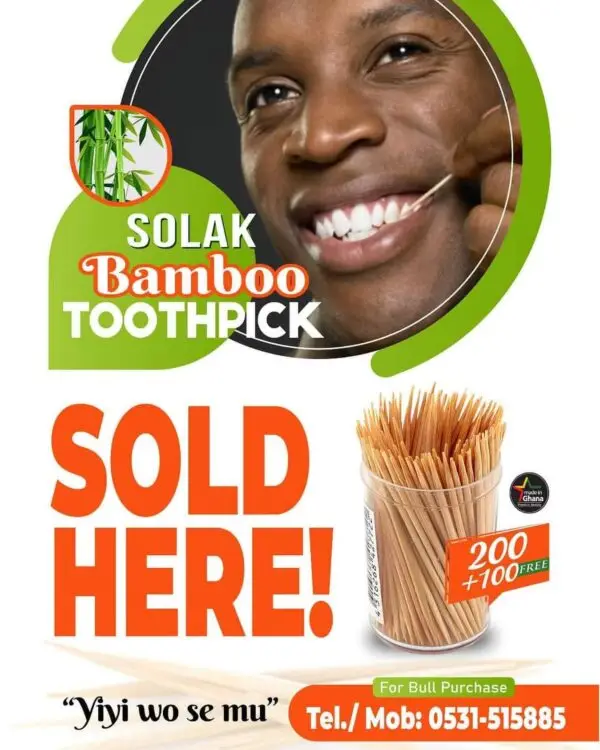 Solak Bamboo Toothpick